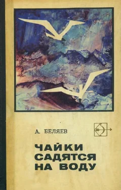 Альберт Беляев Чайки садятся на воду обложка книги