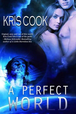Kris Cook A Perfect World обложка книги