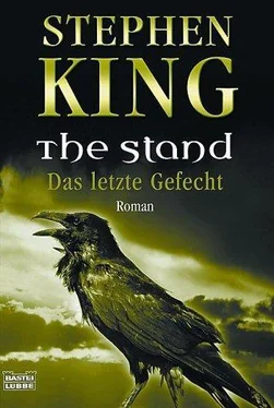 Stephen King The Stand. Das letze Gefecht обложка книги