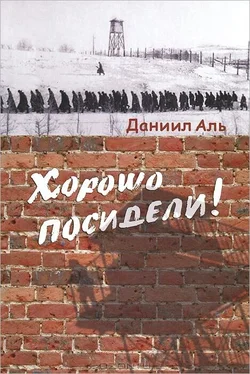 Даниил Аль Хорошо посидели! обложка книги