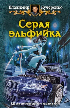 Владимир Кучеренко Серая эльфийка обложка книги