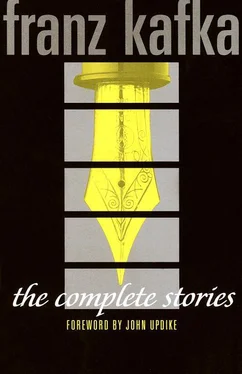 Франц Кафка The Complete Stories (forword by John Updike) обложка книги