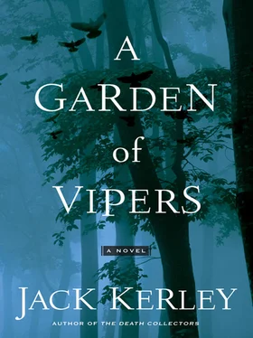 Jack Kerley A Garden of Vipers обложка книги