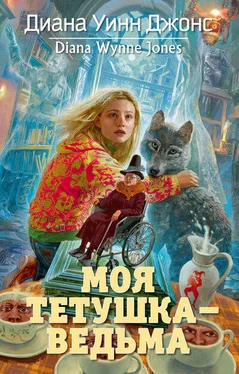 Диана Джонс Моя тетушка — ведьма обложка книги