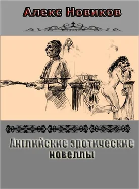 Алекс Новиков Английские эротические новеллы обложка книги