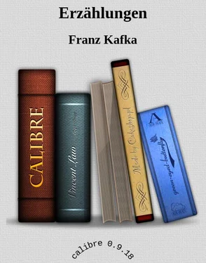 Франц Кафка Erzählungen обложка книги