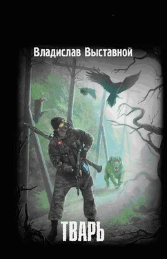 Владислав Выставной Тварь обложка книги