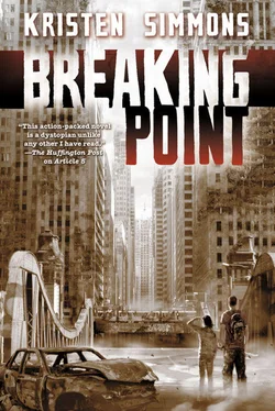 Kristen Simmons Breaking Point обложка книги