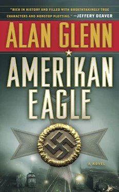 Alan Glenn Amerikan Eagle обложка книги