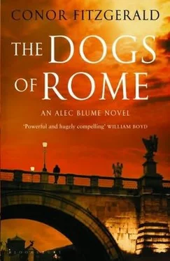 Conor Fitzgerald The dogs of Rome обложка книги