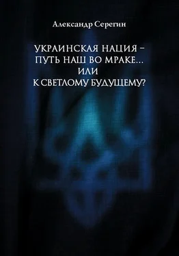 Александр Серегин Украинская нация – путь наш во мраке…или к светлому будущему? обложка книги
