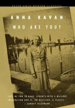 Anna Kavan Who Are You? обложка книги