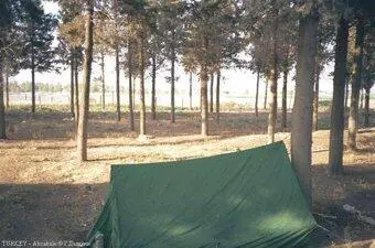 Утром обнаружил что в 20ти метрах за моей платки за проволочным забором - фото 15