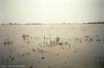 Где находиться русло реки разглядеть невозможно где купаться тоже неясно - фото 167
