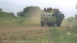Дорога становилась все хуже Временами проходили через стада горбатых серых - фото 201