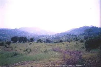 На выходе из города навстречу нам двигался эфиопский священник Рукой он - фото 228