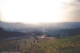 Большинство домов на центральных улицах были из камня высотой максимум в три - фото 233