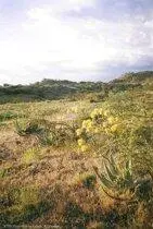 В сумерках опять собиралась гроза Сфотографировали красивые закатные виды гор - фото 275