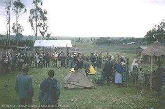 Мне все это напоминало анекдот про зоопарк В этой летки живут - фото 293