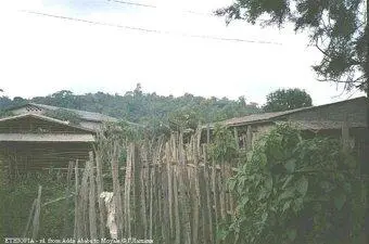 На следующий день мы ехали на локальных машинах марки тойотахайлюкс - фото 320