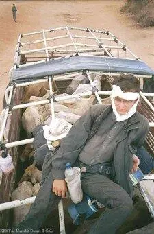 Теперь обрисую компанию в которой мы ехали следующие полтора дня три человека - фото 334