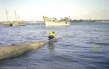 Так что мы пока отпраздновали мороженым получение Замбийской визы и вечером - фото 378