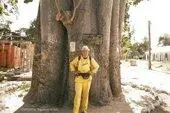 Еще южнее мемориала на берегу океана мангровые заросли Они обозначены даже - фото 405