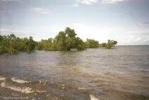 Подхватил вещи и вернулся на берег где и подремал в тени старой лодки попивая - фото 407