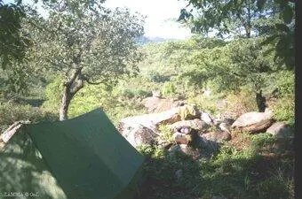 В 600 разбудили куры которые ходили вокруг палатки со всех сторон Вылез и - фото 455