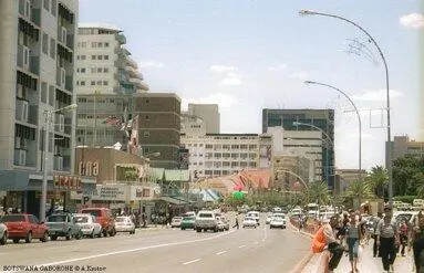 В центре города есть бесплатный музей Внутри чучела и скелеты снаружи - фото 668