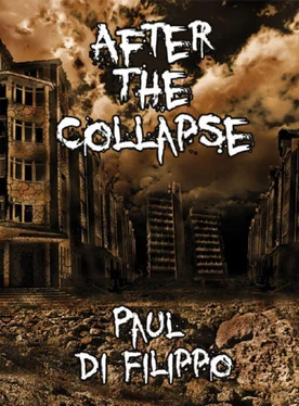 Paul Di Filippo After the Collapse обложка книги