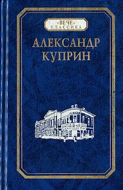 Александр Куприн Звезда Соломона обложка книги