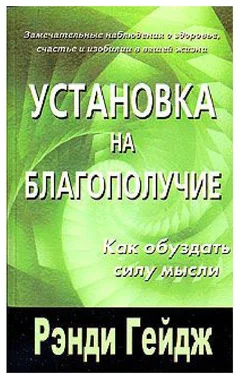 Рэнди Гейдж Установка на благополучие. Как обуздать силу мысли обложка книги