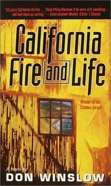 Don Winslow California Fire And Life обложка книги