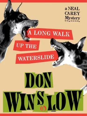 Don Winslow A Long Walk Up the Waterslide обложка книги