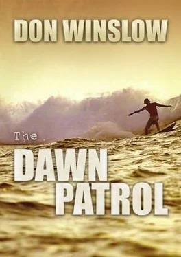 Don Winslow Dawn Patrol обложка книги