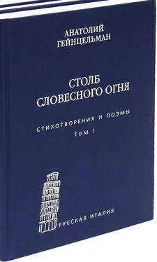 Анатолий Гейнцельман Столб словесного огня. Стихотворения и поэмы. Том 1 обложка книги