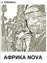 Комета Еленина - АФРИКА NOVA