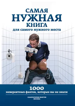 Л. Кремер Самая нужная книга для самого нужного места. 1000 невероятных фактов, которых вы не знали обложка книги