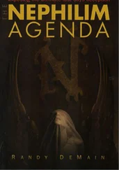 Ренди ДиМейн - План нефилимов