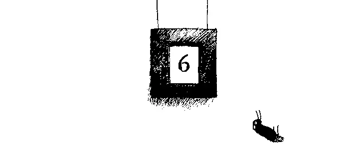 Новые неприятности Марвин заполз под мойку добрался до задней стенки и - фото 18