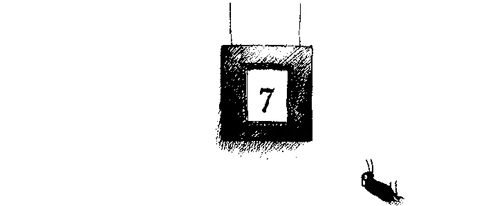 Вылитый Дюрер Марвин тихонько вернулся на свой любимый наблюдательный пункт - фото 21