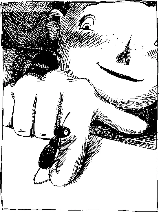 Огромный человеческий палец опустился на столешницу совсем близко от Марвина - фото 23