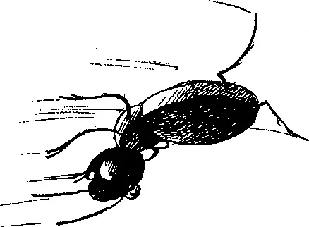Понятия не имею Валяется гдето А может сдох ЧТО Марвин услышал стук - фото 34