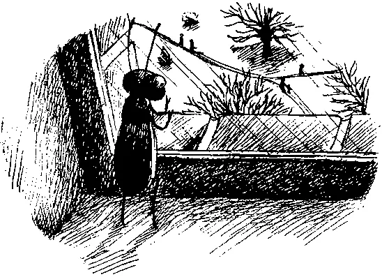 По подоконнику он добрался до письменного стола На нем почти пусто только - фото 37