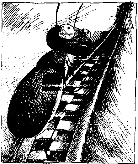 Но зачем спросил Джеймс Кристина сжала руки Ее лицо пылало План - фото 44