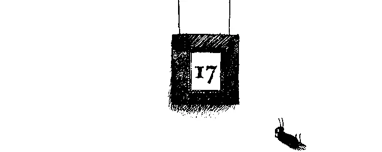 Зимний сад на балконе Утром Марвин заспался очень уж устал за последние дни - фото 51