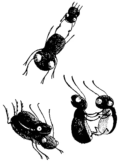 Они долго катались с горки изобретая все новые и новые способы двухэтажный - фото 55