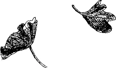 Элен где ты Ответа нет Марвин совсем потерял голову Он вскарабкался - фото 56