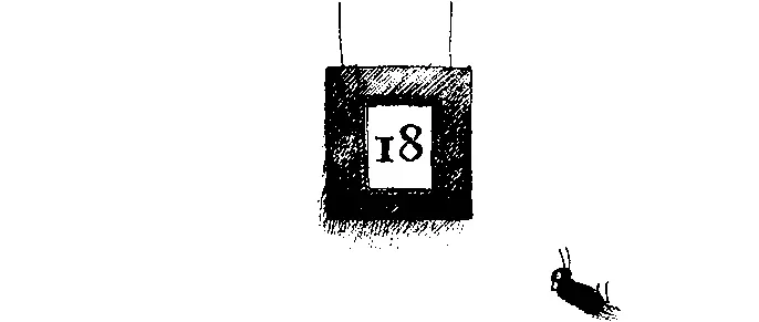 Кто кого Она свалилась в аквариум когда черепаха атаковала стекло Элен - фото 57